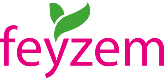 Feyzem